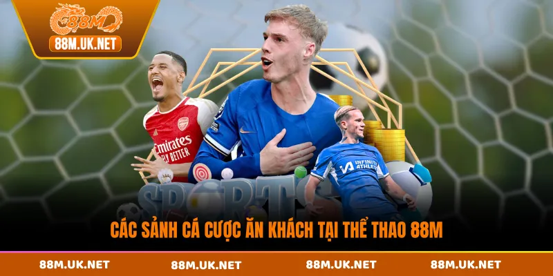 Các sảnh cá cược ăn khách tại thể thao 88M