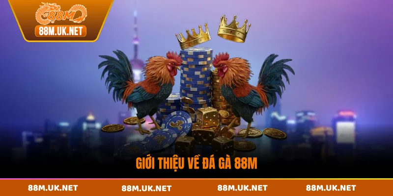 Giới thiệu về đá gà 88M