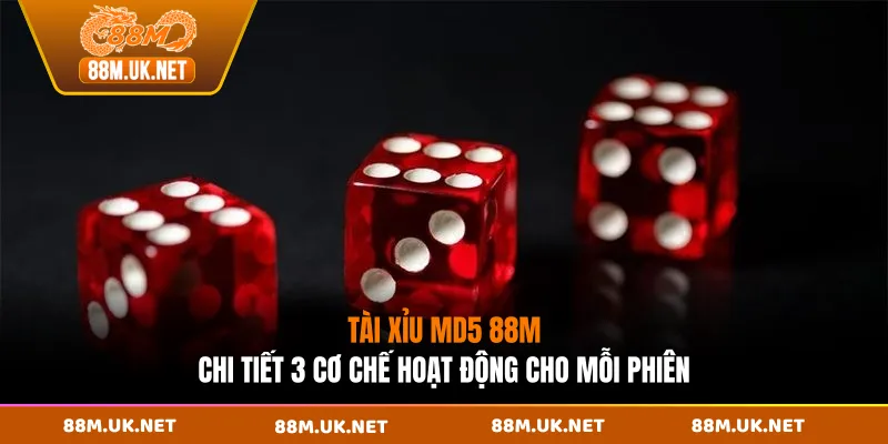 Tài Xỉu MD5 88M - Chi Tiết 3 Cơ Chế Hoạt Động Cho Mỗi Phiên