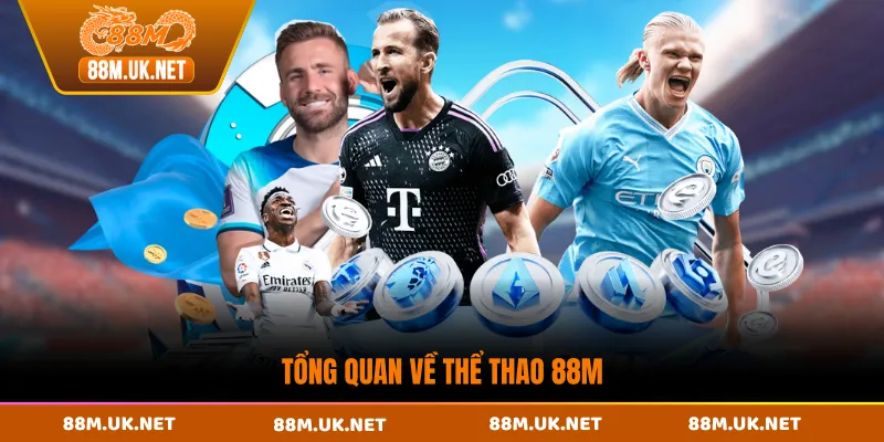 Tổng quan về thể thao 88M